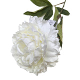 Artificial Peony Flower Stem Cream