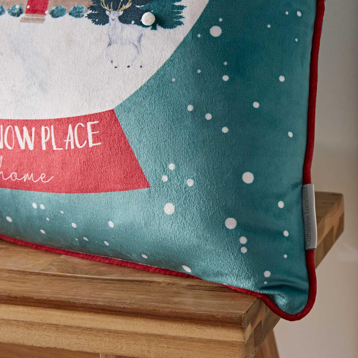 Snow Place Like Home Cushion