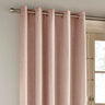 Savoy Chenille Blackout Eyelet Door Curtain