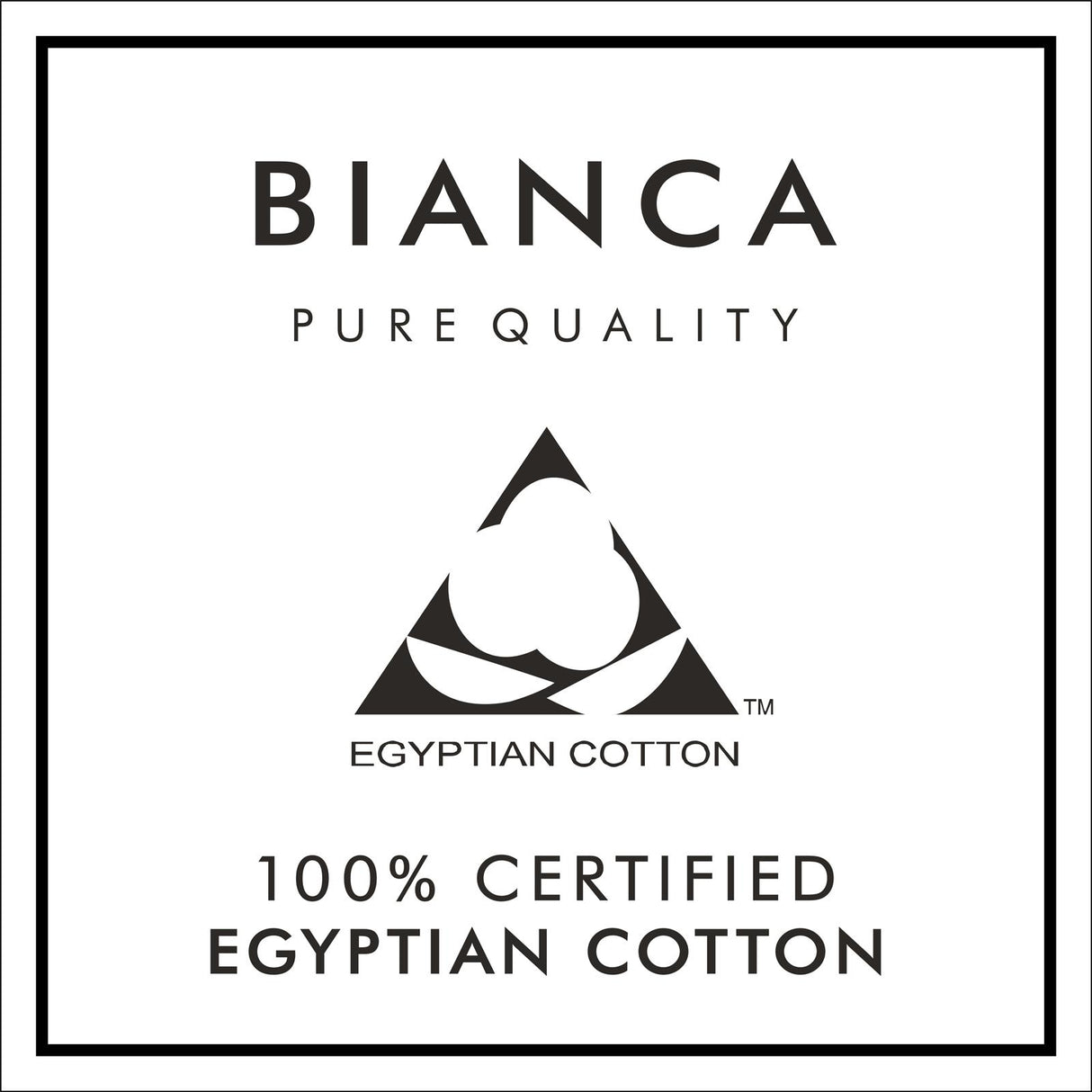 180TC Egyptian Cotton Pillowcases Cream