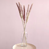 Natural Dried Pampas in Vase