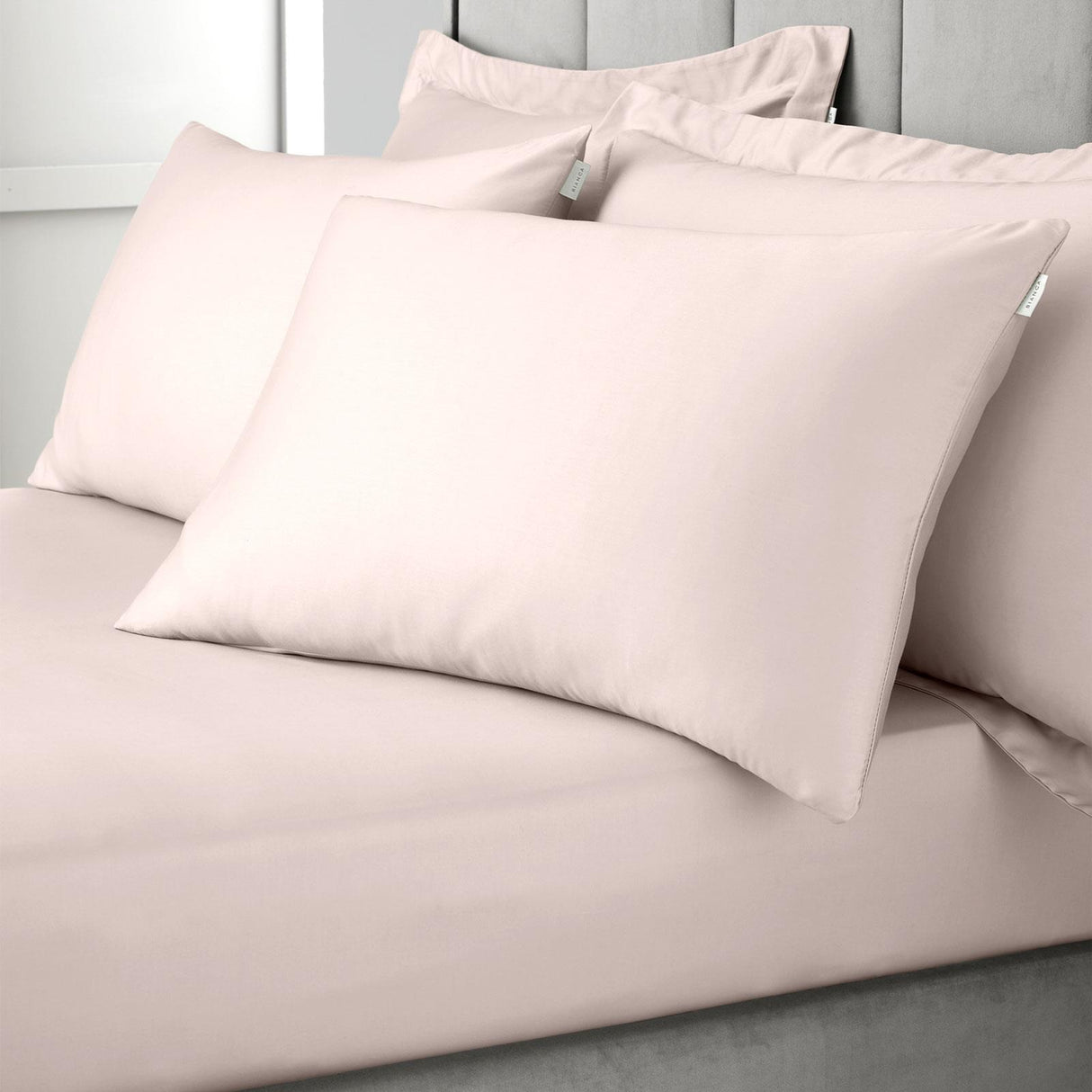 400TC Cotton Sateen Fitted Sheet Blush