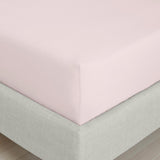 200TC Cotton Percale Fitted Sheet Blush