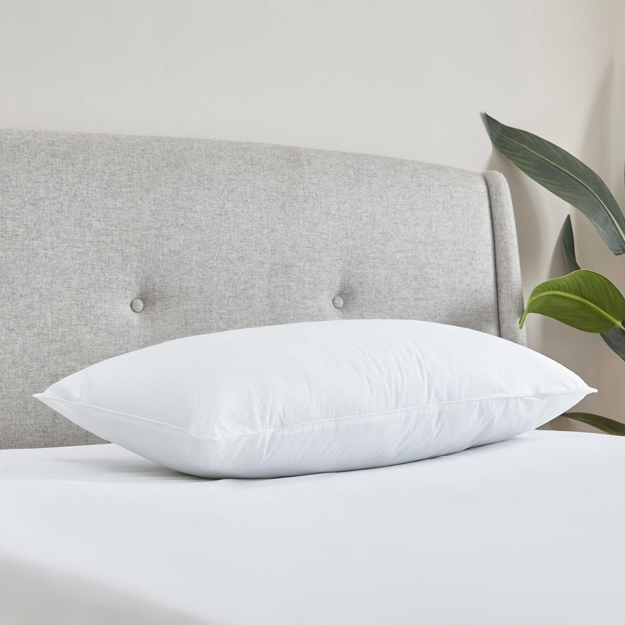 Luxury Pocket Spring Pillow