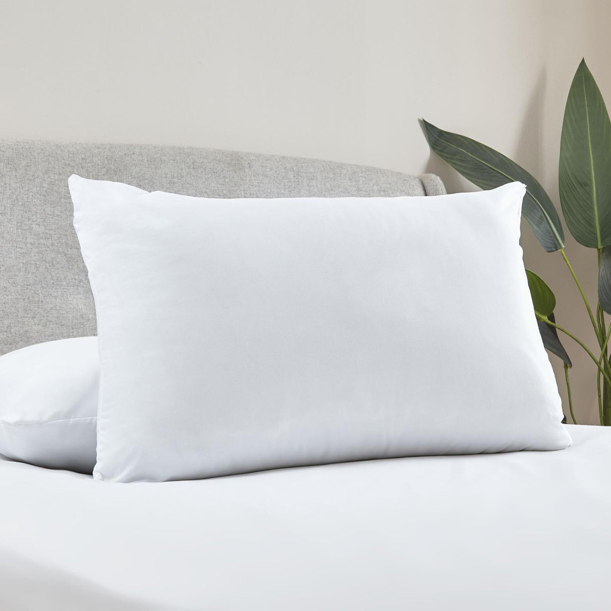 Soft Touch Microfibre Pillows