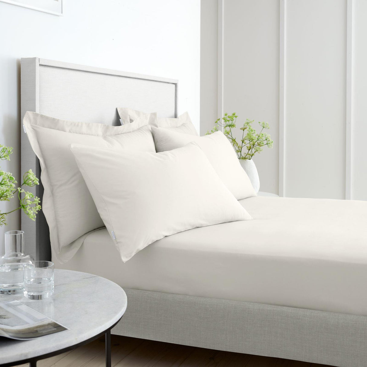 200TC Cotton Percale Fitted Sheet Cream