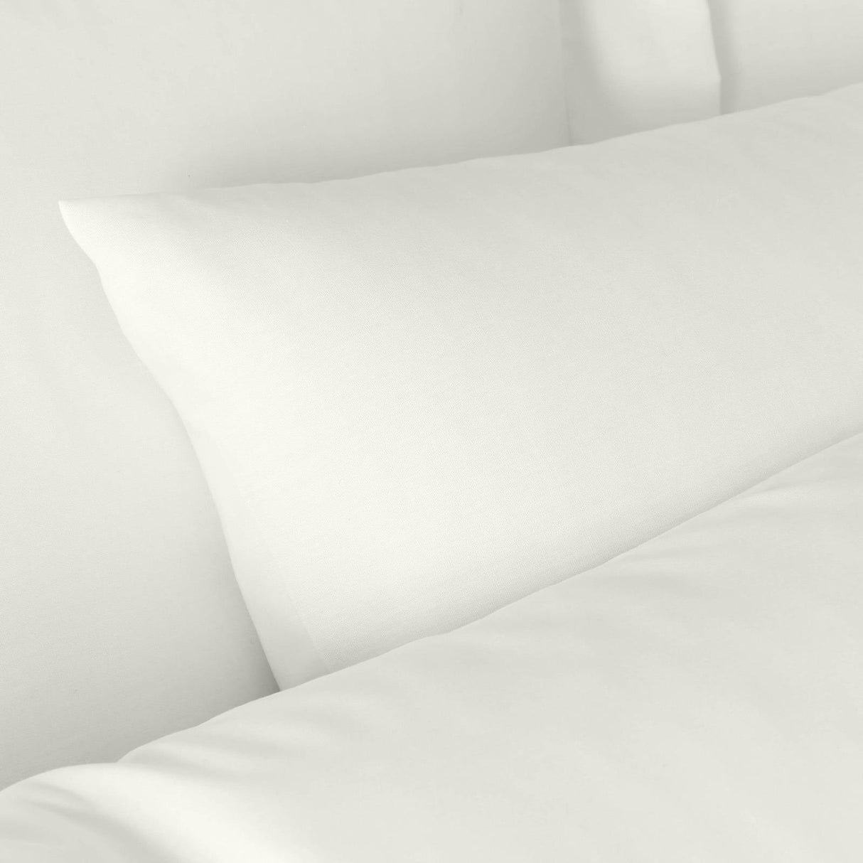 180TC Egyptian Cotton Pillowcases Cream