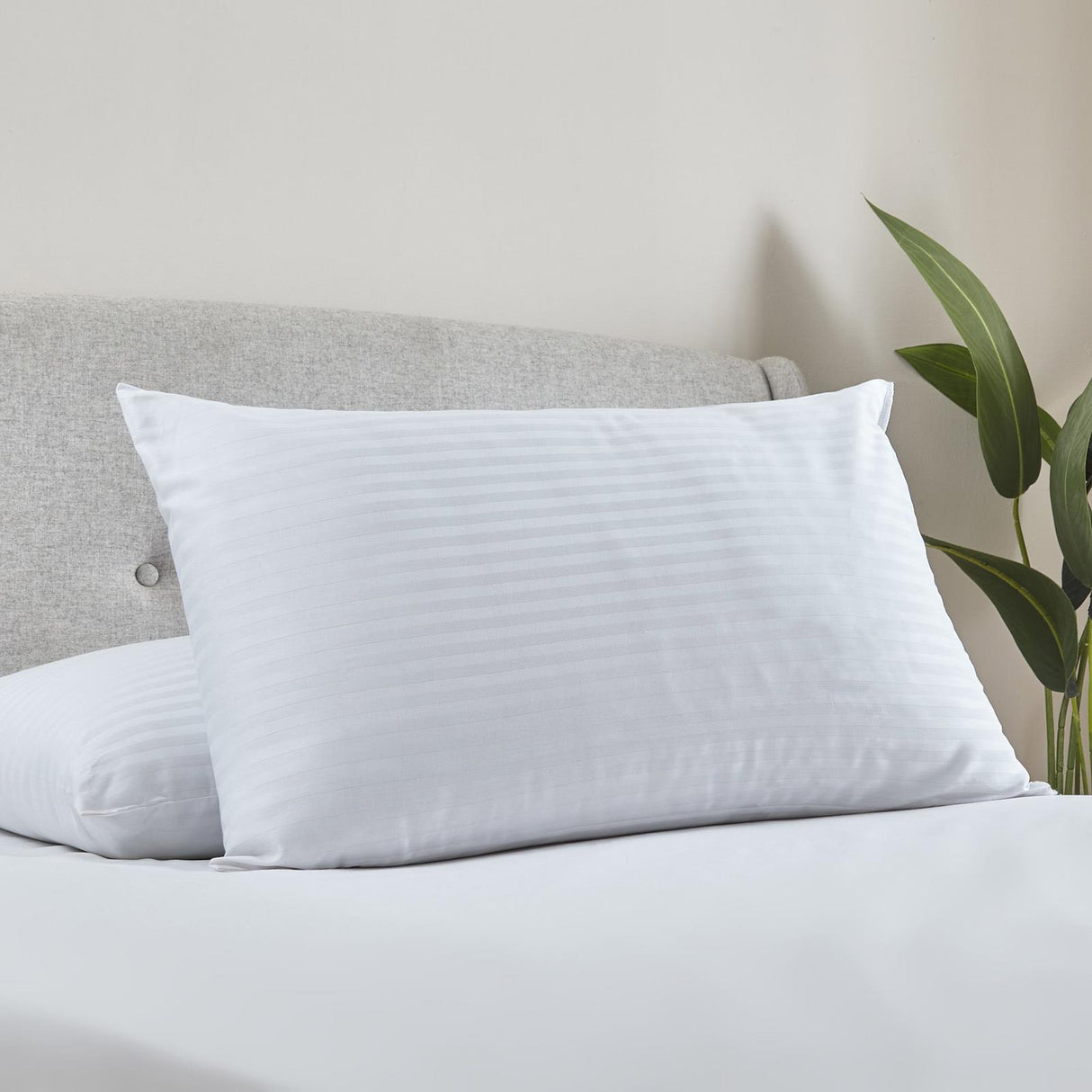 Luxury Hotel Pillow