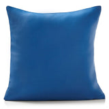 Alan Symonds Essential Cushion Cover Blue 45cm x 45cm (18"x18") Cushion Cover Alan Symonds   