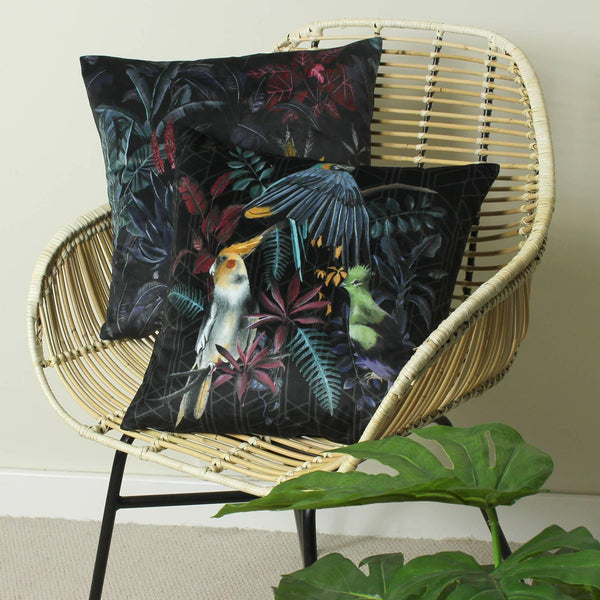 Zinara Birds Black Velvet Filled Cushions Filled Cushion Evans Lichfield   
